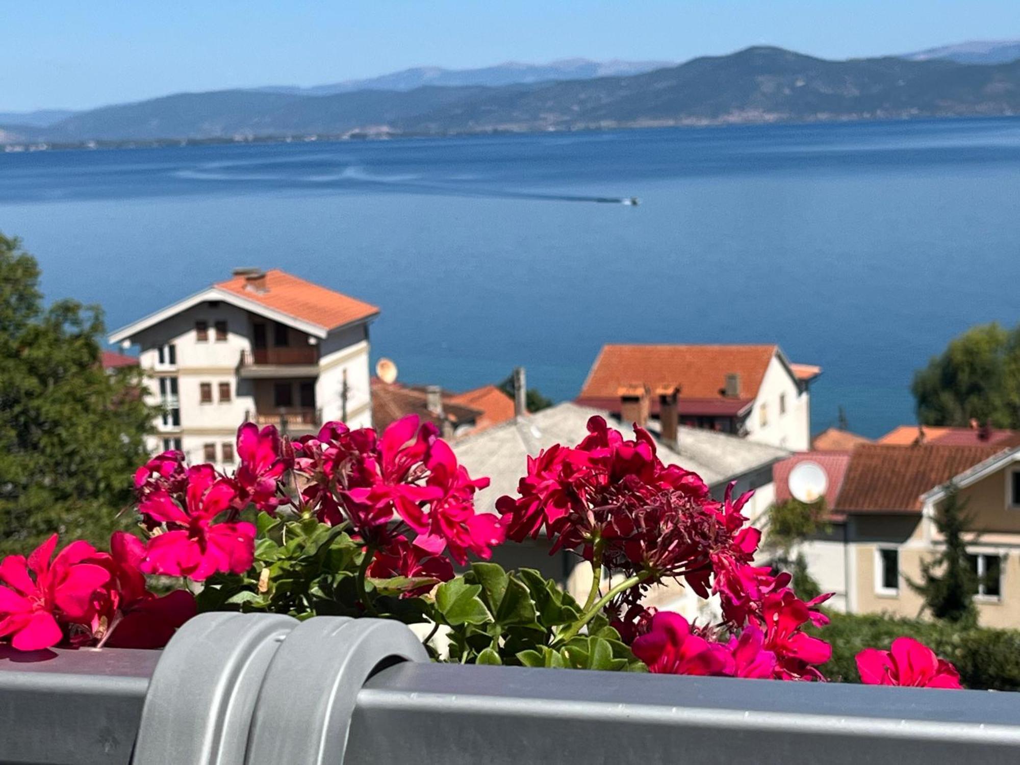 Vila Vista Magica Radozda Struga Exterior foto